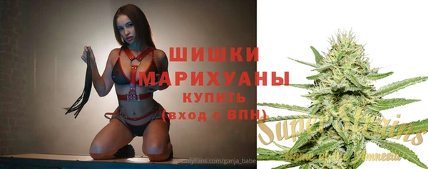 индика Бугульма