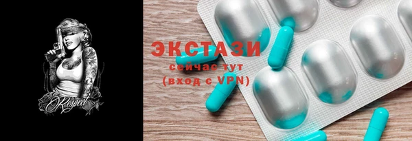 индика Бугульма