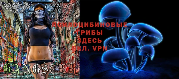 индика Бугульма