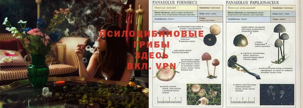 а пвп мука Бронницы