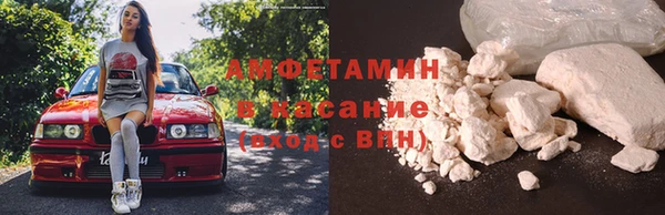индика Бугульма