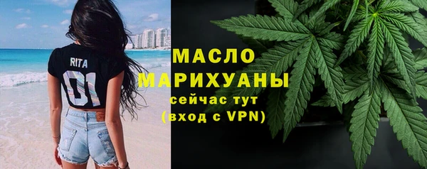 индика Бугульма