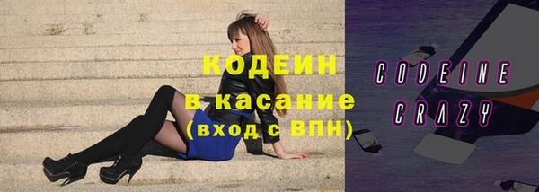 индика Бугульма