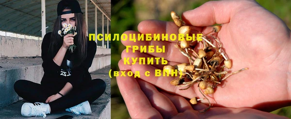 индика Бугульма