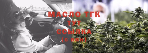 индика Бугульма