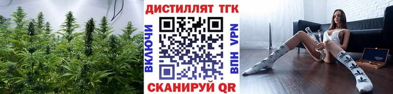 Купить  Шагонар  Дистиллят ТГК жижа 